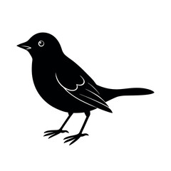 Verdin Small Desert Bird Clipart  