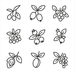 Grassland Fruit Icons. Line style icons of Grassland Harvest Fruits: buffalo berry, sand cherry, saskatoon berry, chokecherry,