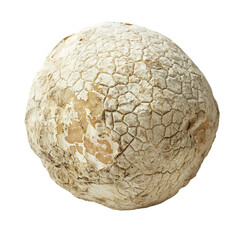 Exploring unique textures of a cracked clay sphere natural setting macro photography close-up view art concept