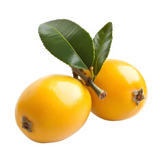 Harvesting fresh loquats orchard photography studio close-up tropical fruit delight