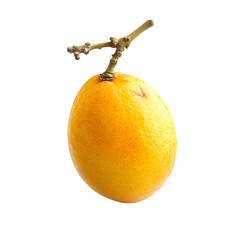 Harvesting exotic yellow fruit tropical region still life photography pure background close-up healthy eating concept