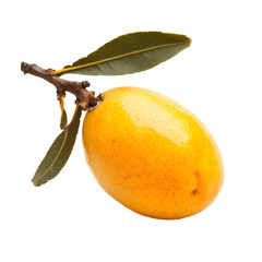 Harvesting fresh sapodilla fruit tropical orchard high-quality photography bright studio close-up nature's bounty