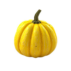 Harvesting bright yellow squash farm field food photography natural lighting eye-level fresh produce concept
