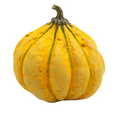 Harvesting unique yellow pumpkin varieties farm field food photography natural light close-up perspective culinary delight