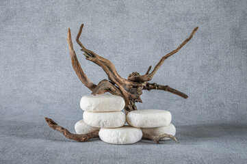 Empty stone podium, pieces of snag on grey background. Minimalist eco backdrop. Pedestal for product advertising. Wabi sabi concept. Copy space.