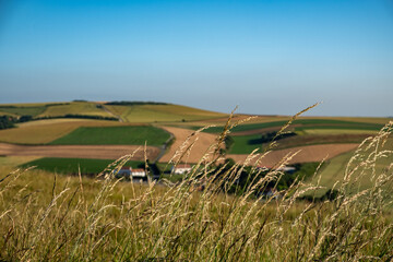 Cap Blanc-Nez, Escalles, Pas-de-Calais, Hauts-de-France, France, July 29th, 2025, A picturesque view of rolling hills, vibrant green fields, and swaying grass under a clear blue sky.