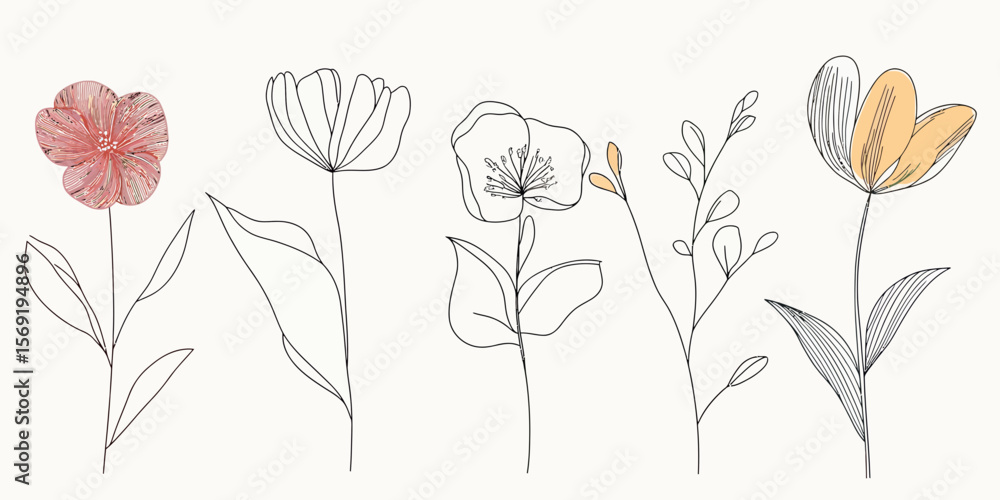 Poster minimalist continuous line drawing of five different delicate flowers with simple leaves and soft pa