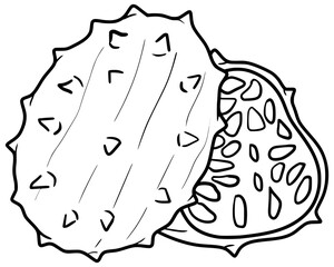 Kiwano Melon Fruit Vector Outline Line Art Drawing