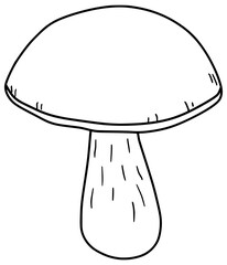 King Bolete Mushroom Vector Outline Line Art Drawing
