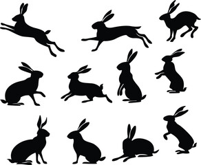 Isolated domestic animal silhouette black and white rabbit