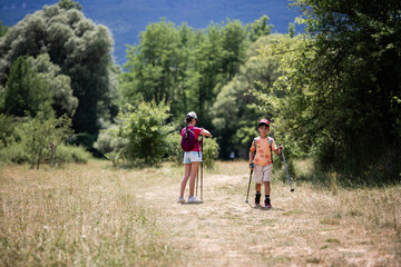 Obraz premium Children hiking in nature enjoying summer adventures in the woods