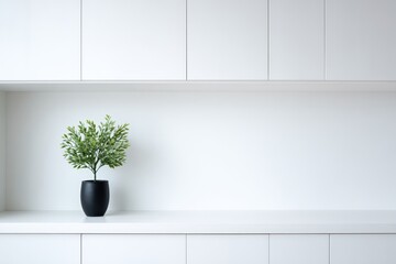 Potted green plant in a sleek black vase on a minimalist white shelf, enhancing modern interior design with natural elements and tranquility