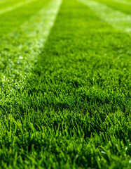 Lush green grass with freshly mowed stripes receding into the distance. Represents growth, freshness, and natural beauty. Ideal for landscaping, sports, and outdoor themes.