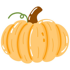 Cozy Autumn Pumpkin 