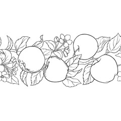 Apple Branch with Flowers, Fruits and Leaves Horizontal Seamless pattern
