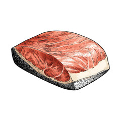 Vibrant Raw Tuna Loin Illustration - Fresh Seafood
