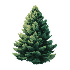 pine tree isolated in White Background, pine tree vector, Flat lay vector illustration