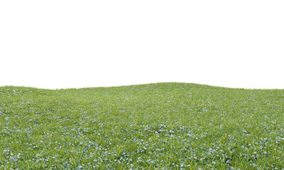 Grass with small white flowers landscape on transparent background