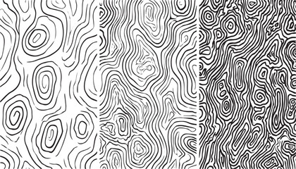 set of isolated the stylized height of the topographic contour in lines and contours.