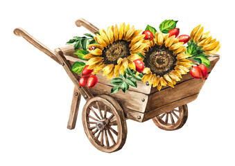 Wooden garden wheelbarrow with rustic Autumn bouquet of sunflowers and rosehip berries. Hand drawn watercolor illustration isolated on white background