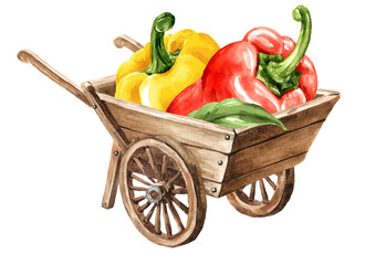 Wooden garden wheelbarrow cart with fresh Sweet bell pepper. Hand drawn watercolor illustration, isolated on white background