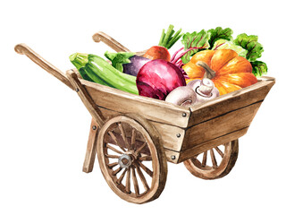 Wooden garden wheelbarrow cart with fresh vegetables. Hand drawn watercolor illustration, isolated on white background