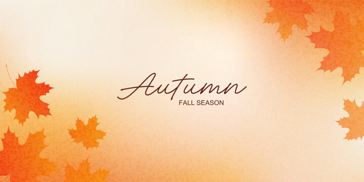 Autumn maple leaves on a gradient soft background. Vector banner for your design. Abstract autumn landscape for sale, advertising, printing, packaging.