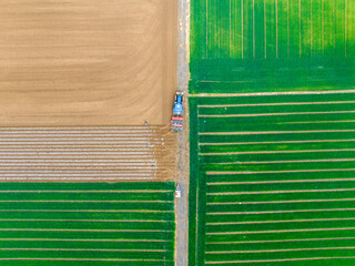 In spring, farmers use farm machinery to grow peanuts