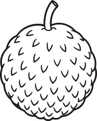 lychee fruit line art, black outline, vector and illustration, coloring book page line art drawing