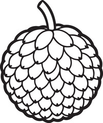 lychee fruit line art, black outline, vector and illustration, coloring book page line art drawing