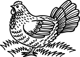 Fototapeta premium Hand drawn chicken illustration farm animal, poultry bird standing on grass rural agriculture, vintage sketch