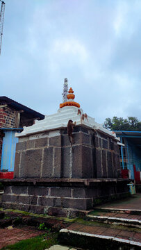 monkeys on a small temple at kankeshwar in alibaug in maharashtra in india.