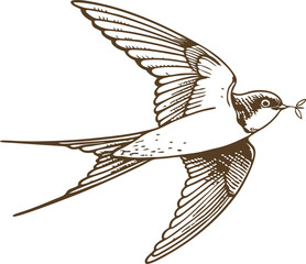 Fototapeta premium Swallow bird flying with twig elegant hand drawn line art, vintage engraving style, symbol of spring and hope
