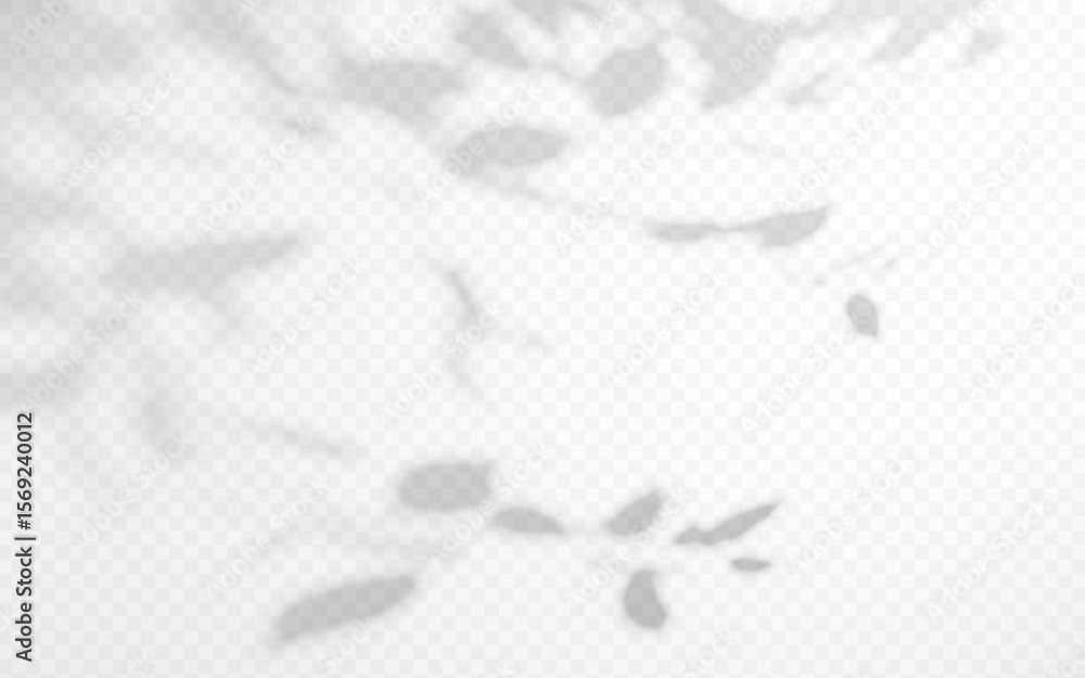 Wall mural abstract shadow overlay from tree branch on a transparent background.