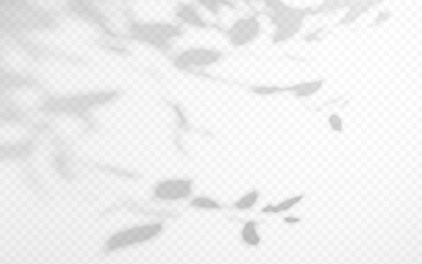 Abstract shadow overlay from tree branch on a transparent background.