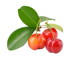 Fresh acerola cherries with green leaves isolated on white background for healthy eating concept
