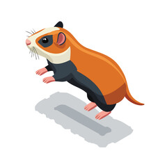 Obraz premium Guinea Pig jump isometric vector illustration with clean geometry and modern design