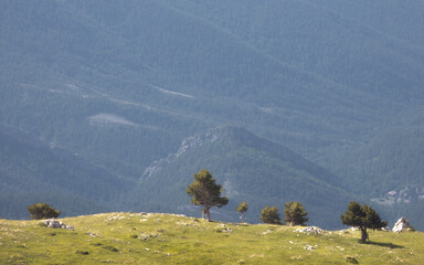 Expansive Views of Coll De Pal in Bergueda, Catalonia During Serene Daylight