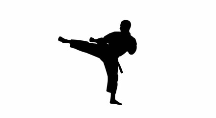 Obraz premium Karate Kick Silhouette Vector – Martial Arts Pose