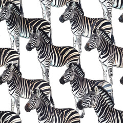 Black And White Zebra Seamless Pattern On Transparent Background