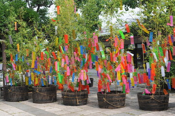 Tanabata festival (Star Festival) in Japan. Colorful paper tags called tanzaku with written wishes...