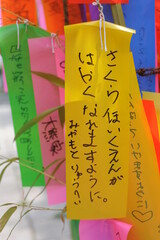 Tanabata festival (Star Festival) in Japan. Colorful paper tags called tanzaku with written wishes...