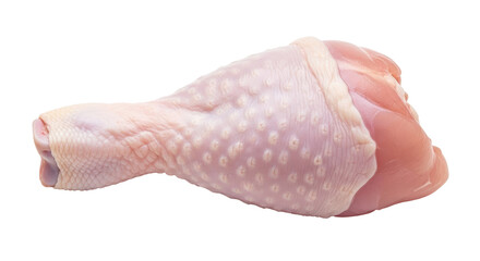Isolated Raw Chicken Drumstick