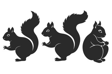 set of Squirrel silhouette vector illustration