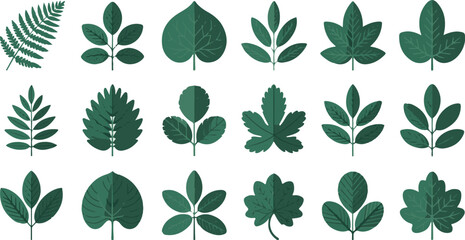 Vector art of assorted green leaves on white background