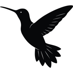 Fototapeta premium Hummingbird Silhouette Vector Graphic in Flight with Feeding Motion Design