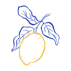 Flat vector illustration of single lemon with three leaves. Freehand outline style. Citrus tropical fruits. Perfect for print, logo