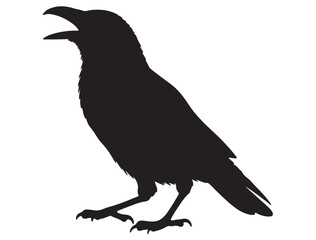 CROW SILHOUETTE