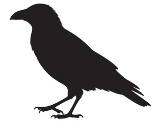 CROW SILHOUETTE