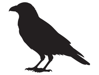 CROW SILHOUETTE